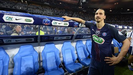 Zlatan Ibrahimovic lors de son dernier match avec le PSG en finale de la Coupe de France (FRANCK FIFE / AFP)