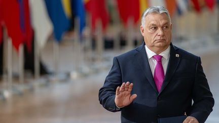 Le Premier ministre hongrois, Viktor Orban, le 14 décembre 2023 à Bruxelles (Belgique). (JONAS ROOSENS / ANP MAG)