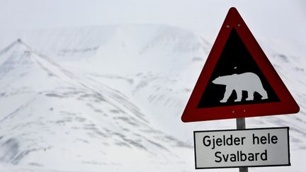 A la sortie de Longyearbyen (Norv&egrave;ge), un panneau de signalisation met en garde contre les ours polaires. (DANIEL SANNUM LAUTEN / AFP)