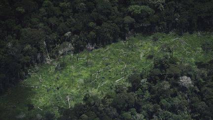 Vue a&eacute;rienne d'une zone d&eacute;bois&eacute;e&nbsp;de l'Amazonie situ&eacute;e sur le territoire des Indiens Ashaninka, le 25 mars 2014, au Br&eacute;sil.&nbsp; (LUNAE PARRACHO / REUTERS)