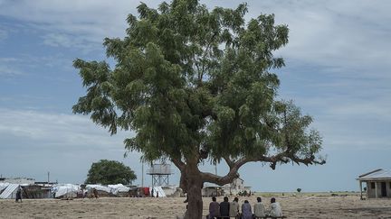 et maintient que le pétrole du Nord-Est pourrait amortir les chocs liés aux troubles dans le delta du Niger. Il voit dans l’exploitation des hydrocarbures un moyen d’apporter à cette région défavorisée le développement dont elle a un besoin vital. Dans le même temps, il doit offrir des perspectives aux jeunes pour éviter qu’ils se tournent vers l’islamisme radical et rejoignent les rangs de la rébellion», précise encore GéopolisAfrique. (Stefan Heunis/AFP)