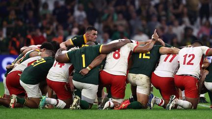 Les joueurs sud-africains et tongiens, unis, posent un genou au sol après la rencontre opposant les deux équipes, le 1er octobre 2023, en signe de communion. (ANNE-CHRISTINE POUJOULAT / AFP)