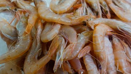 Des traces de cocaïne ont été retrouvées dans des crevettes d'eau douce du&nbsp;Suffolk, comté rural de l'est de l'Angleterre, révèle une étude publiée le 1er mai 2019. (MAX ROSSI / REUTERS)