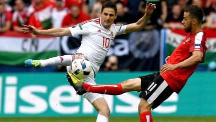 &nbsp; (Zoltan Gera (Hongrie) et Martin Harnik (Autriche) lors du premier match des deux équipes à l'Euro 2016 © MaxPPP)