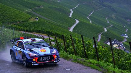 Thierry Neuville (Hyundai i20)  (PAULO MARIA / DPPI MEDIA)