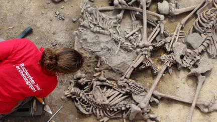 Une chercheuse de l'Inrap étudie des squelettes mis au jour à Achenheim, dans le Bas-Rhin (7 juin 2016)
 (Philippe Lefranc / INRAP / AFP)