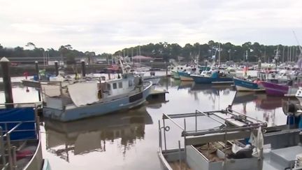 Golfe de Gascogne : les bateaux des pêcheurs à quai pendant un mois