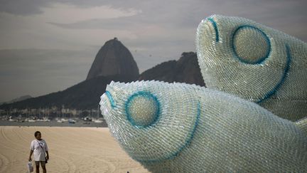 Deux poissons fabriqu&eacute;s avec des bouteilles en plastique sont expos&eacute;es sur la plage de Botafogo &agrave; Rio de Janeiro (Br&eacute;sil) en marge du sommet Rio+20, le 19 juin 2012. (CHRISTOPHE SIMON / AFP)