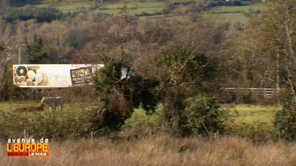 Brexit : les&nbsp;entreprises irlandaises dans le brouillard ("Avenue de l'Europe") (FRANCE 3 / FRANCETV INFO)