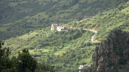 Le touriste fran&ccedil;ais a &eacute;t&eacute; enlev&eacute; dans une r&eacute;gion montagneuse de Kabylie, pr&egrave;s de Tizi Ouzou (Alg&eacute;rie), a confirm&eacute; le Quai d'Orsay le 22 septembre 2014. (FRÉDÉRIC SOREAU / AFP)