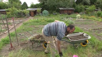 Pouvoir d’achat : de plus en plus de Français cultivent un potager