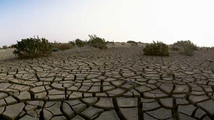  (Pendant le mois de mars, la température moyenne à la surface des terres et des océans a été de 0,85°C au-dessus de celle du 20e siècle, selon la NOAA. photo d'illustration  © Maxppp)