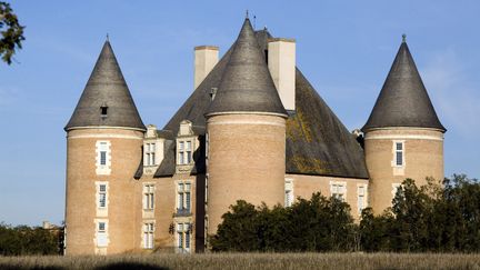 Le château de Saint-Elix (Haute-Garonne) sera vendu aux enchères le 19 avril 2018. (PHILIPPE ROY / AFP)