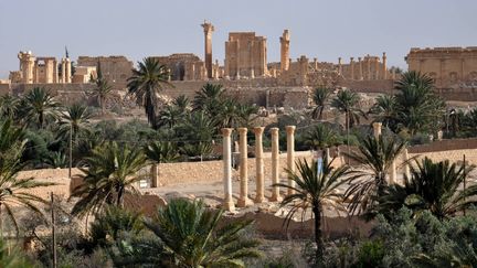 La cité antique de Palmyre en Syrie le 18 mai, le lendemain de l'attaque de l'EI.
 (STR / AFP)