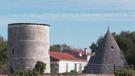 Patrimoine : après un siècle en sommeil, la renaissance du moulin de La Brée