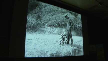 Des films avec Charlie Chaplin et Buster Keaton sont projetés aux enfants dans le cadre du Festival Jeune Public Cinemed de Montpellier. (France 3 Languedoc-Roussillon : O. Brachard / C. Metairon / V. Portela-Rosa / L. Dodet)