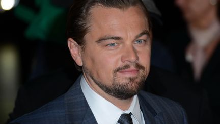 Leonardo DiCaprio produira une adaptation au cinéma du scandale Volkswagen
 (CITIZENSIDE/SEE LI / citizenside.com / AFP)