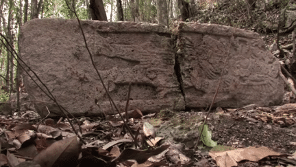 Image extraite d'un reportage vid&eacute;o INAHTV montrant une pierre dans la cit&eacute; maya d&eacute;couverte au Mexique d&eacute;but juin 2013. (INAHTV)