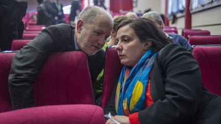 Les écologistes Denis Baupin et Emmanuelle Cosse, lors d'un conseil fédéral d'EELV à Paris, le 17 janvier 2014. (ZIHNIOGLU KAMIL / SIPA)