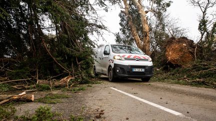 Des arbres bloquent en partie la route à Saint-Nic dans le Finistère, après le passage de la tempête Ciaran, le 2 novembre 2023. (GUILLAUME SALIGOT / MAXPPP)