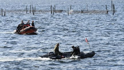 Des plongeurs danois recherchent le corps de Kim Wall, le 22 août 2017, près de Copenhague (Danemark).&nbsp; (JOHAN NILSSON / TT NEWS AGENCY / AFP)