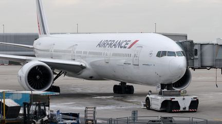 Des avions sont bloqu&eacute;s au sol, le 6 f&eacute;vrier 2012, &agrave; Roissy-Charles-de-Gaulle, en raison d'une gr&egrave;ve. Les personnels de l'a&eacute;rien s'ooposent &agrave; un projet de loi visant &agrave; instaurer un "service garanti". (HUMBERTO DE OLIVEIRA / MAXPPP)