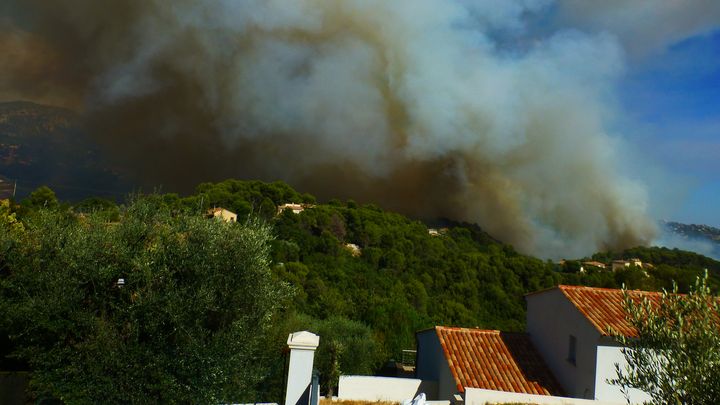 Des appareils luttent contre le feu à Carros (Alpes-Maritimes), lundi 24 juillet 2017, alors que le vent complique leur tâche.&nbsp; (ALAIN SORIANO / CITIZENSIDE / AFP)