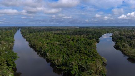 Le fleuve Amazone, dans l'état de l'Amazonas (Brésil), juin 2018 (MAURO PIMENTEL / AFP)