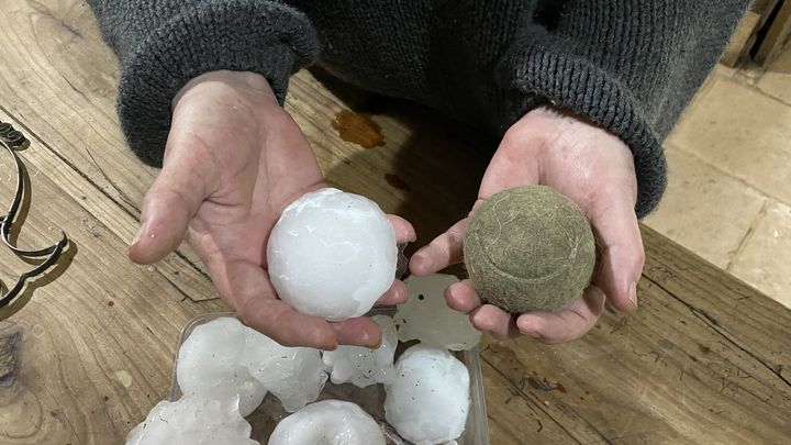 Lors des orages du 21 mai 2022, des grêlons gros "comme des balles de tennis" sont tombés à Frontenay-Rohan-Rohan (Deux-Sèvres). (NOEMIE GUILLOTIN / FRANCE BLEU POITOU)