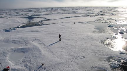 Un scientifique tente d'identifier les facteurs entra&icirc;nant la fonte de la banquise arctique, &agrave; 800 km du p&ocirc;le Nord, le 3 septembre 2011. (STUART MCDILL / REUTERS)