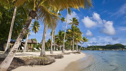 La plage de Pointe-Marin &agrave; Sainte-Anne (Martinique) en 2010. (GUIZIOU FRANCK / HEMIS.FR / AFP)