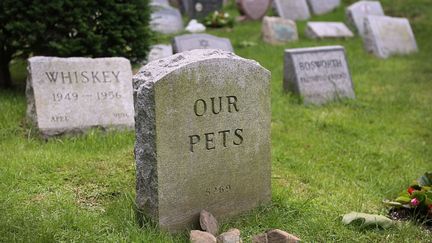 Pierre tombales dans le cimeti&egrave;re pour animaux de Hartsdale (New York), le 2 juin 2012. (JOHN MOORE / GETTY IMAGES)