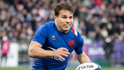 Antoine Dupont durant le match du Tournoi des six nations entre le XV de France et l'Irlande, le 12 février 2022 au Stade de France (Saint-Denis). (BERTRAND GUAY / AFP)