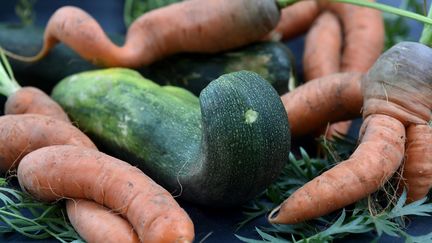 Des carottes et des courgettes aux formes particulières qui ne peuvent être mises en vente. Photo d'illustration. (CLAUDE PRIGENT / MAXPPP)