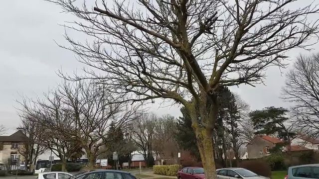 Un avion survole le village de Compans (Seine-et-Marne)