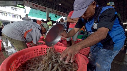  (PORNCHAI KITTIWONGSAKUL / AFP)