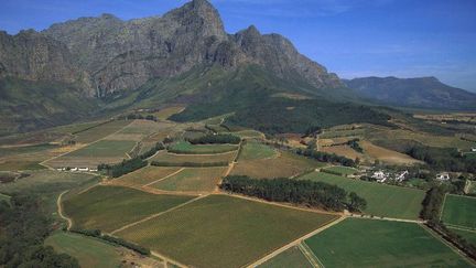 Plantations de vignobles dans la vallée de Franshoek en Afrique du Sud  (Photo AFP Richard Du Toit)