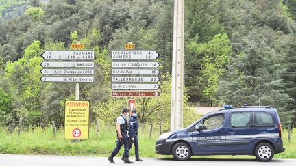 Des gendarmes déployés pendant quatre jours dans les Cévennes lors de la traque de Valentin Marcone, à la mi-mai 2021. (SYLVAIN THOMAS / AFP)