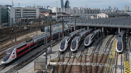 Des TGV, le 20 mars 2023 à Paris. (SAMUEL BOIVIN / NURPHOTO / AFP)