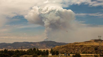 Une épaisse colonne de fumée s'élève du lac Fire, dans la forêt nationale Angeles de Californie le 13 août 2020. Au moment de la photo, les pompiers ne réussissent toujours pas&nbsp;à maitriser l'incendie. La veille, 500 maisons ont dû être évacuées.&nbsp; (APU GOMES / AFP)