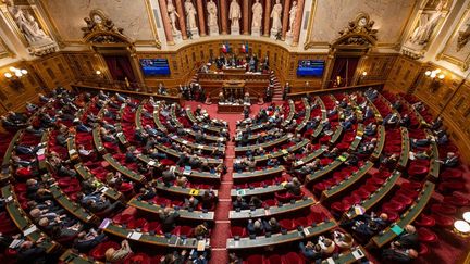 L'hémicycle du Sénat, le 26 janvier 2021. (SANDRINE MARTY / HANS LUCAS / AFP)