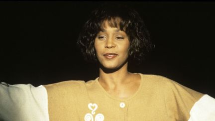 Whitney Houston : la mort subite de la chanteuse américaine en février a déclenché une vague inégalée de recherches sur le web
 (Kobal / The Picture Desk)