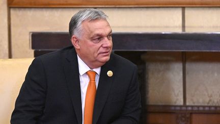 Le Premier ministre hongrois Viktor Orban assiste à une réunion avec le président russe Vladimir Poutine dans le cadre du 3e Forum de la Ceinture et de la Route à la Maison d'hôtes d'État Diaoyutai à Pékin, en Chine, le 17 octobre 2023. (GRIGORY SYSOEV /SPUTNIK / KREMLIN POOL / MAXPPP)