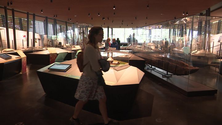 Musée archéologique du Lac de Paladru (France 3 Grenoble)