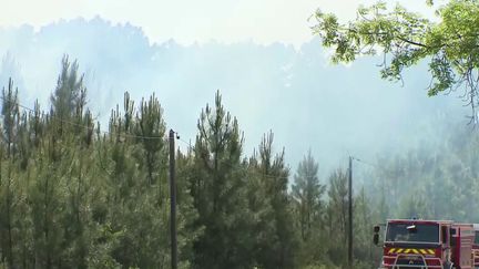 Sécheresse : en Ardèche, départs d'incendies précoces pour la saison (FRANCE 2)