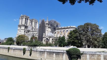 Notre-Dame de Paris, le 29 juillet 2019.&nbsp; (RÉMI BRANCATO / FRANCE-INTER)