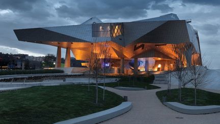 Le Musée des Confluence de Lyon en 2020. (MANUEL COHEN / MANUEL COHEN)