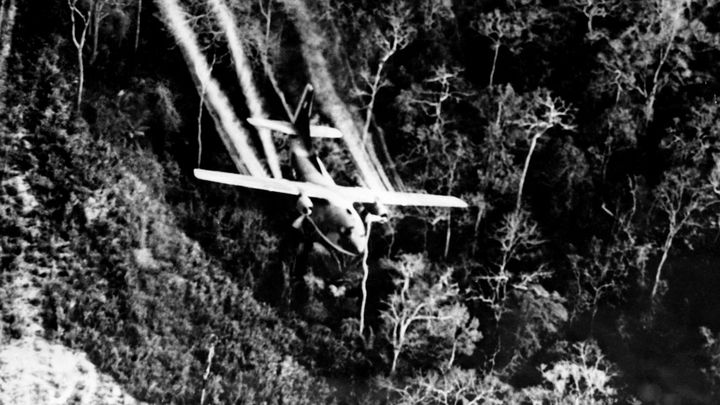 Un avion de l'armée de l'air américaine largue de l'"agent orange", un herbicide ultra-toxique, au-dessus d'une forêt au Vietnam, le 3 mars 1967. (UPI / AFP)