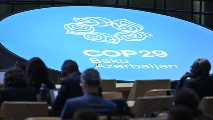 Des participants à la COP29 de Bakou, en Azerbaïdjan, le 13 novembre 2024. (ALEXANDER NEMENOV / AFP)