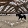 Chiara Zenati avec sa seconde monture Zeus de Malleret*IFCE lors d'une masterclass au Parc équestre fédéral, à Lamotte-Beuvron, le 13 mars 2024. (Clément Mariotti Pons)